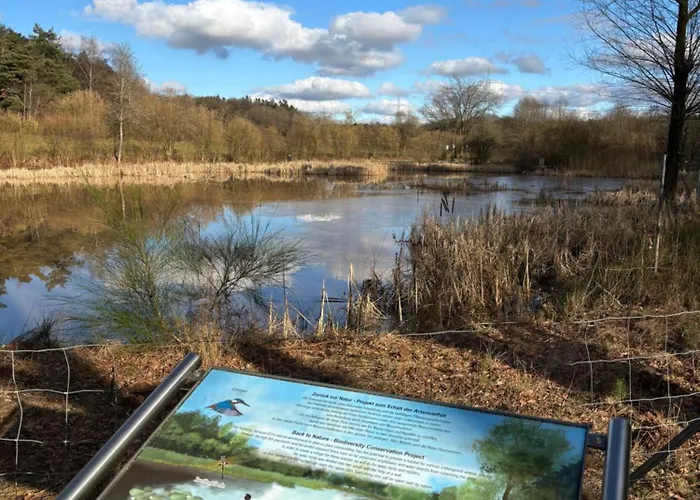 Lejlighed In Miesenbach *